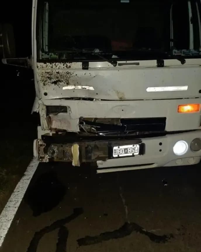 Un camión chocó contra un caballo suelto sobre la Ruta Nacional 118