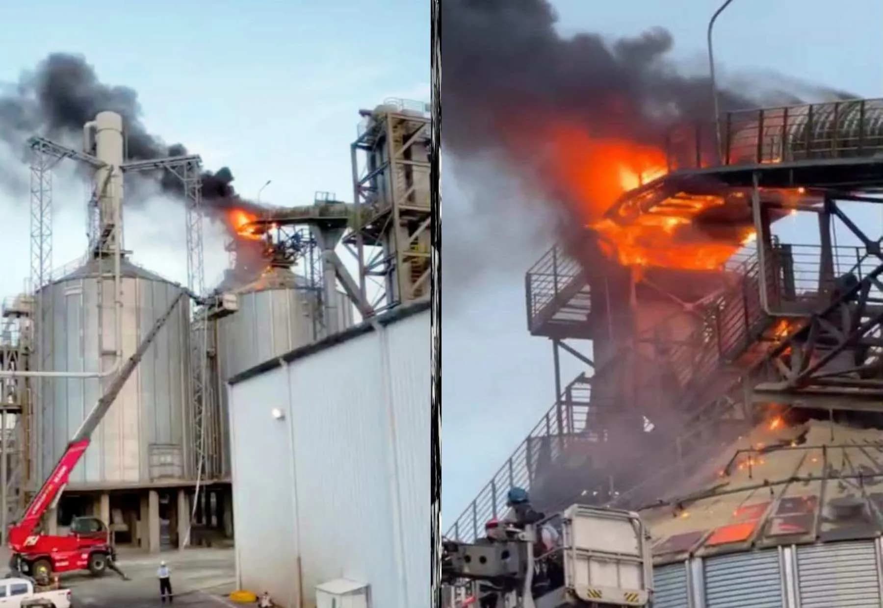 Se registró un incendio en Acon Timber: qué pasó y cómo quedó la planta