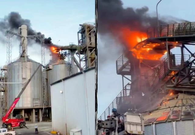 Se registró un incendio en Acon Timber: qué pasó y cómo quedó la planta