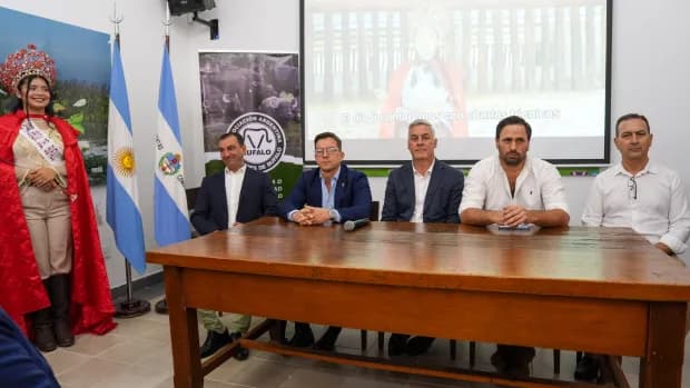 Corrientes se consolida como líder nacional en ganadería bubalina con un crecimiento sostenido