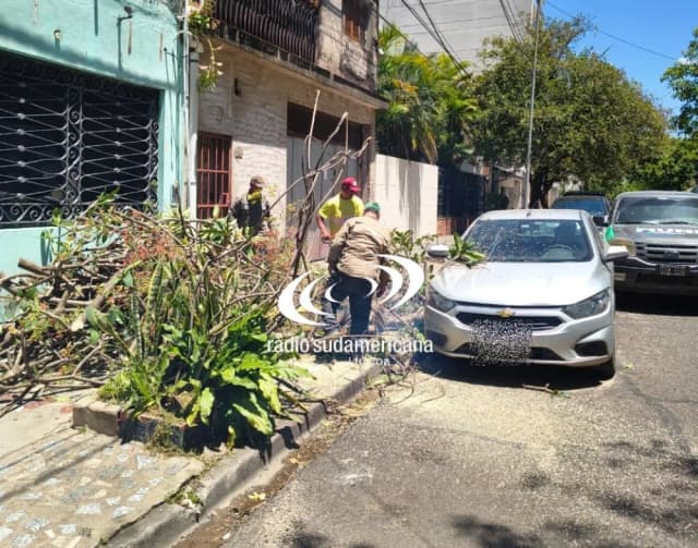 Un árbol cayó sobre un auto estacionado en el barrio Camba Cuá