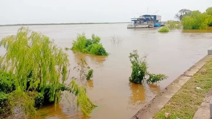 El Niño pierde fuerza: advierten que no alcanzará la intensidad anunciada