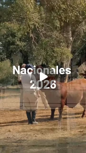 "¡Las Nacionales de razas se viven en Corrientes!