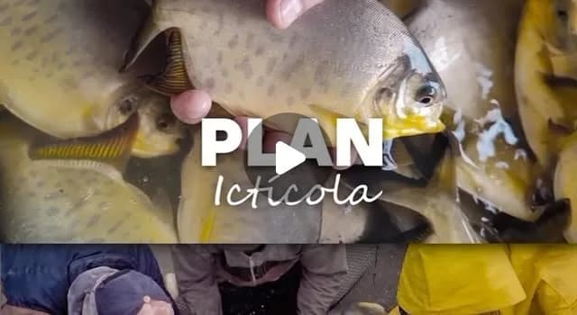 "A través del Plan Ictícola, estamos potenciando los recursos naturales y el capital humano de la provincia para proy...