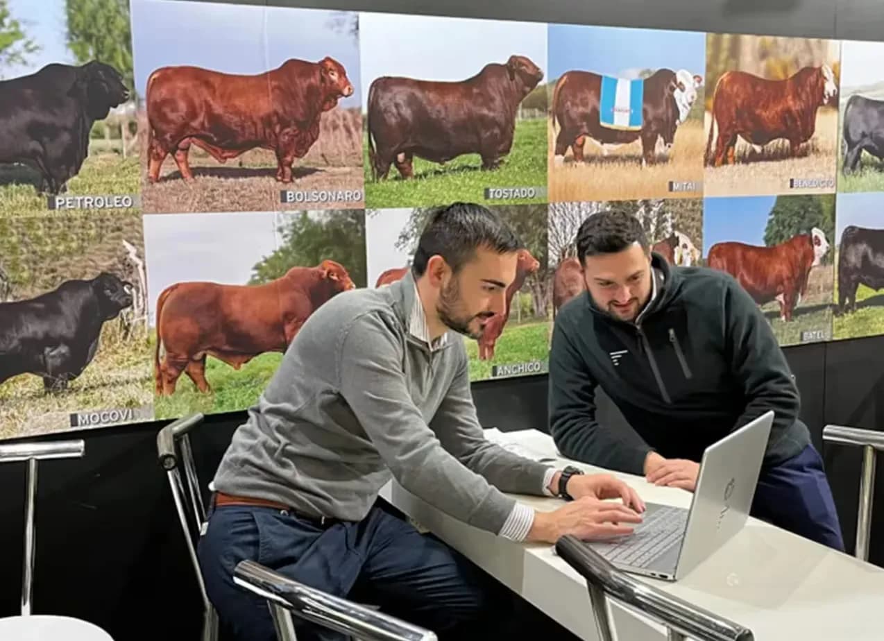 Recibieron un llamado desde España y todo cambió para un proyecto que tiene 100.000 animales digitalizados