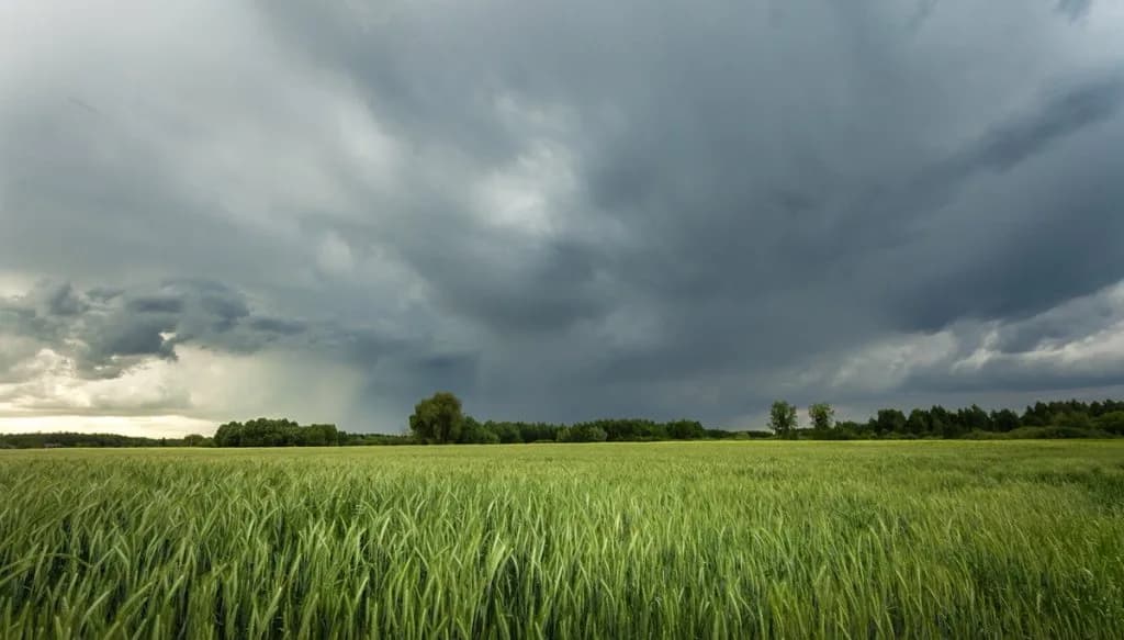 Clima en La Rioja: Despejado el pronóstico para hoy, 6 de julio