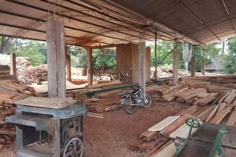 Crisis: la producción de madera cayó un 13,6% intermensual en mayo
