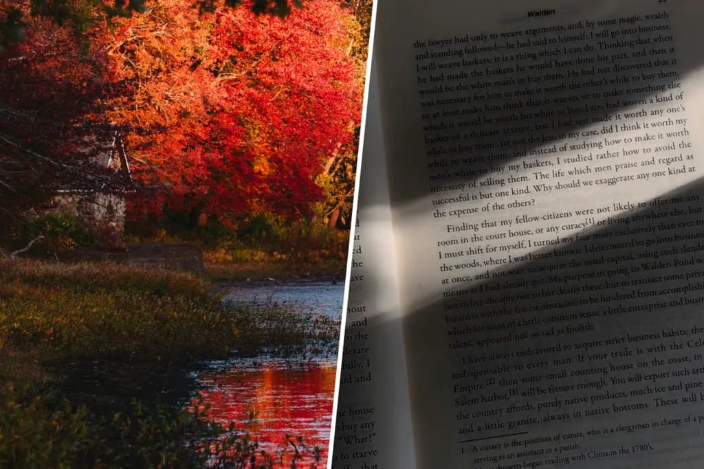 Henry David Thoreau, filósofo, "en mi casa tenía tres sillas, una para la soledad, otra para la amistad y la tercera para la sociedad"