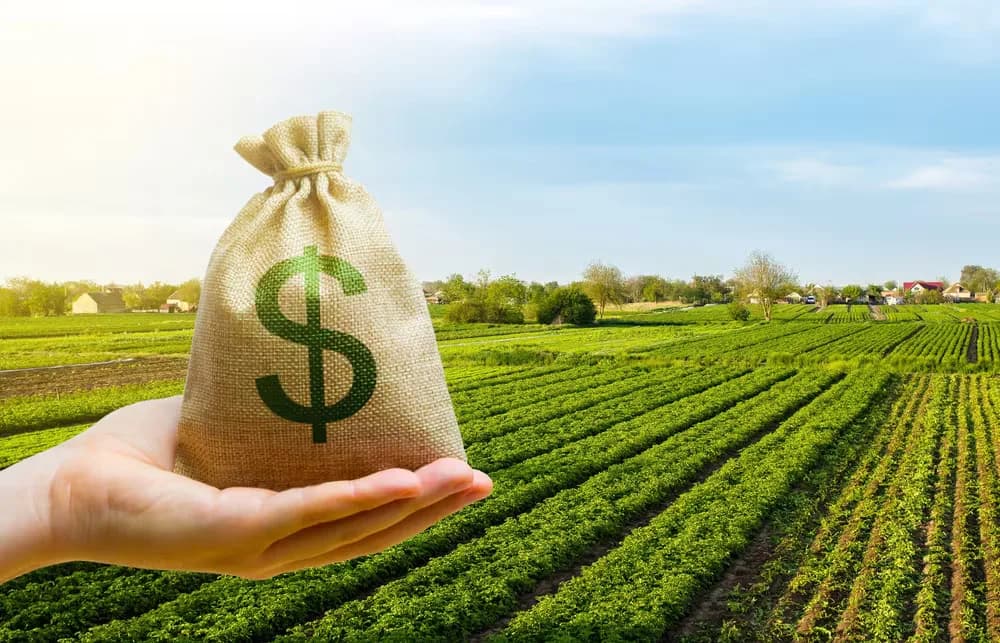 El dólar que quiere el campo y el “aumento exponencial” que se viene