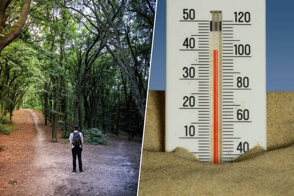 No eres tú, es el termómetro: no tomes decisiones importantes en ola de calor