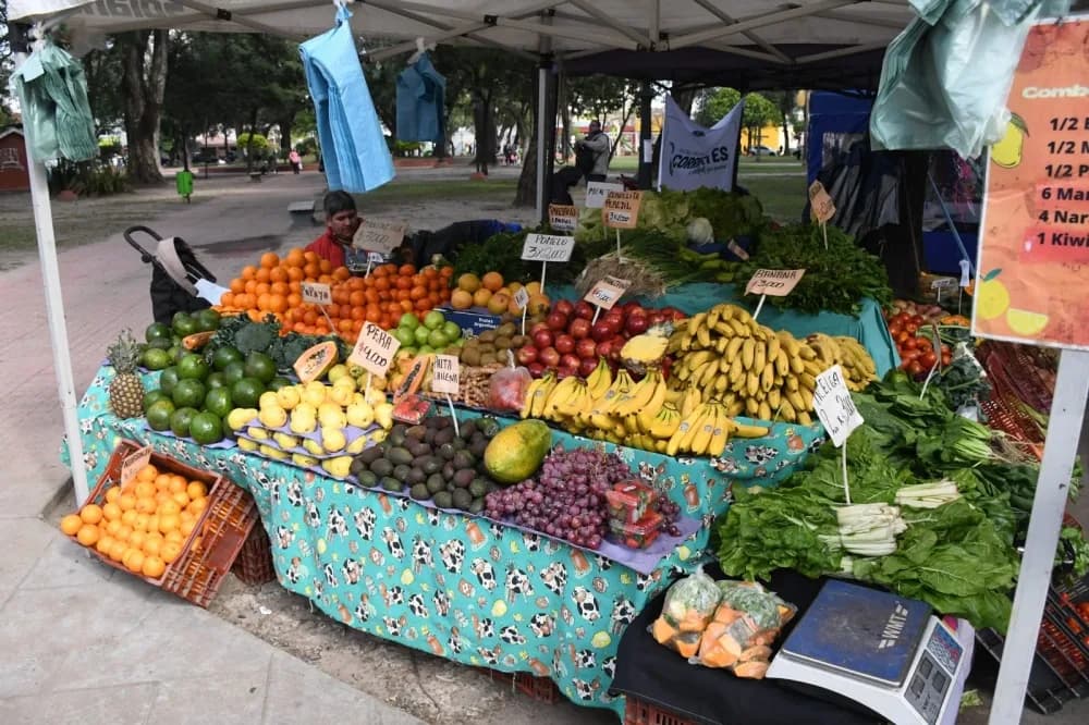 Corrientes capital: conocé dónde estarán las Ferias de la Ciudad