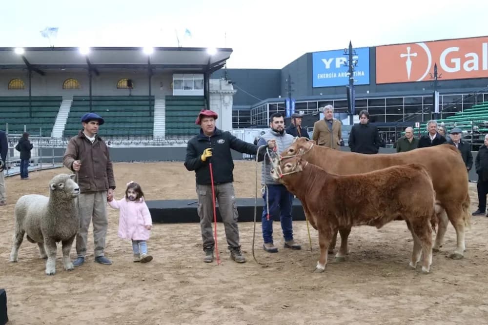 Ingreso de animales: llegaron Tini Tini, De Paul y Tim Payne a La Rural