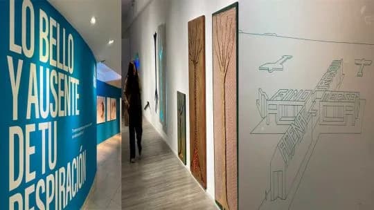 El Rojas vuelve a marcar el pulso de las artes visuales