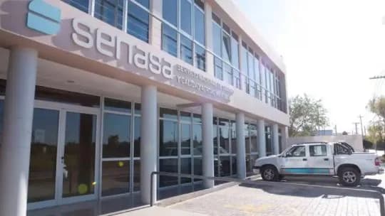 Escala salarial de SENASA: de cuánto es el sueldo para los profesionales y técnicos en julio de 2026