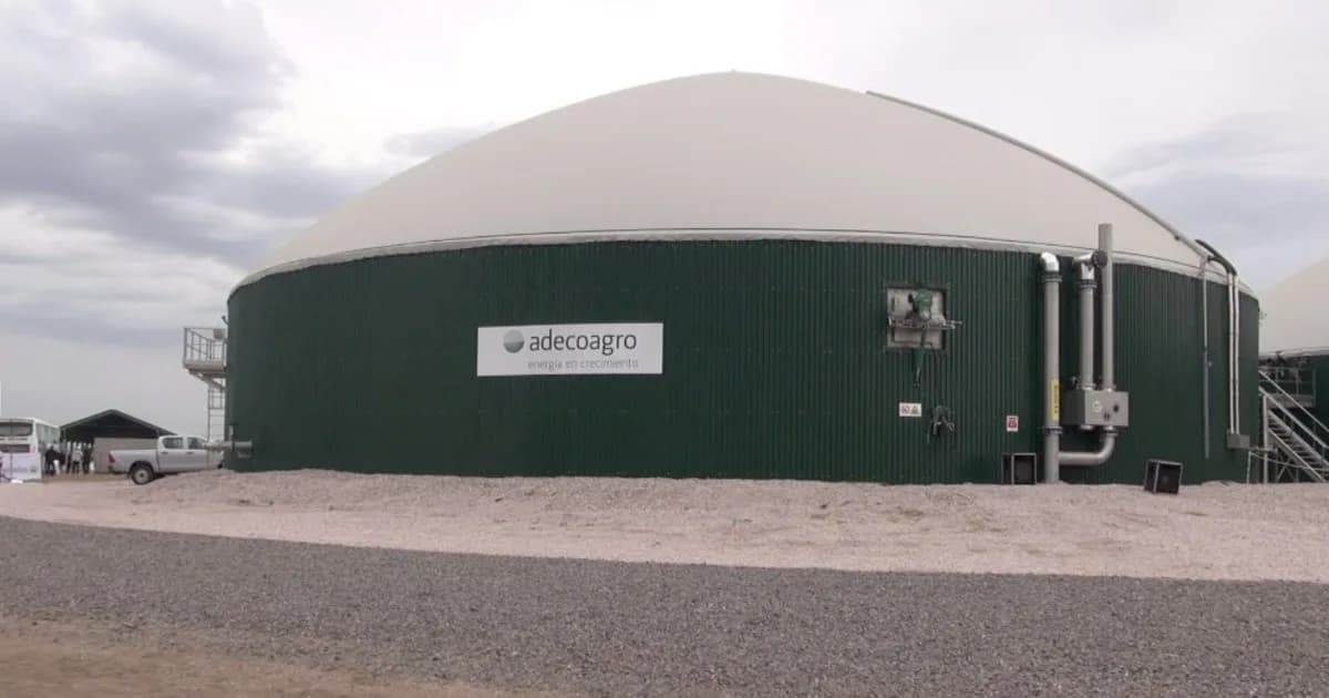 Gigante del agro argentino sale de compras en Brasil y fortalece su presencia regional