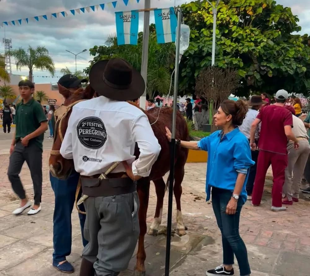 Portada de video: Más de 270 intervenciones fortalecieron el bienestar animal