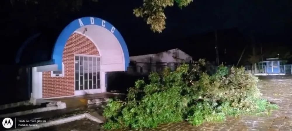 Violento temporal causó daños y caída de árboles en Alvear