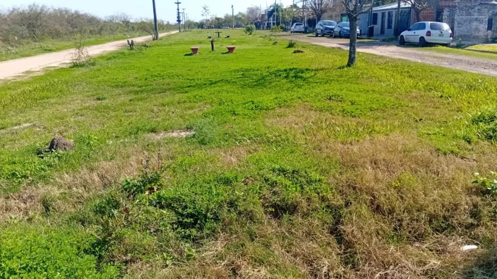 Realizaron trabajos de desmalezamiento en la zona sur de Goya