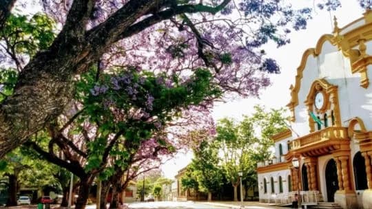La Milagrosa, la devoción popular de General Pinto