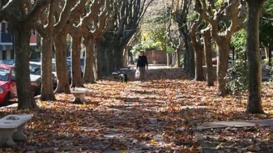 Clima en Ciudad de Buenos Aires: las lluvias se despiden tras el temporal y baja la temperatura
