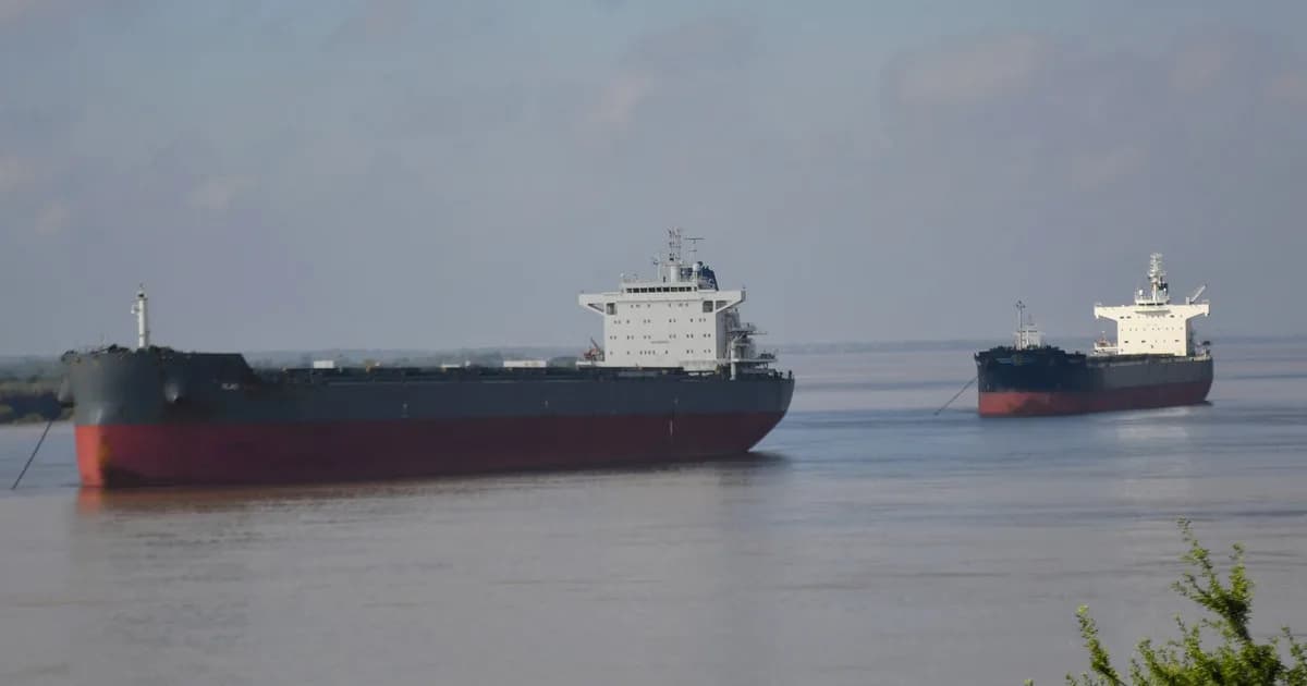 "Hay mucha preocupación": los prácticos dejaron de prestar servicios tras la desregulación del Gobierno y hay más de 150 barcos paralizados