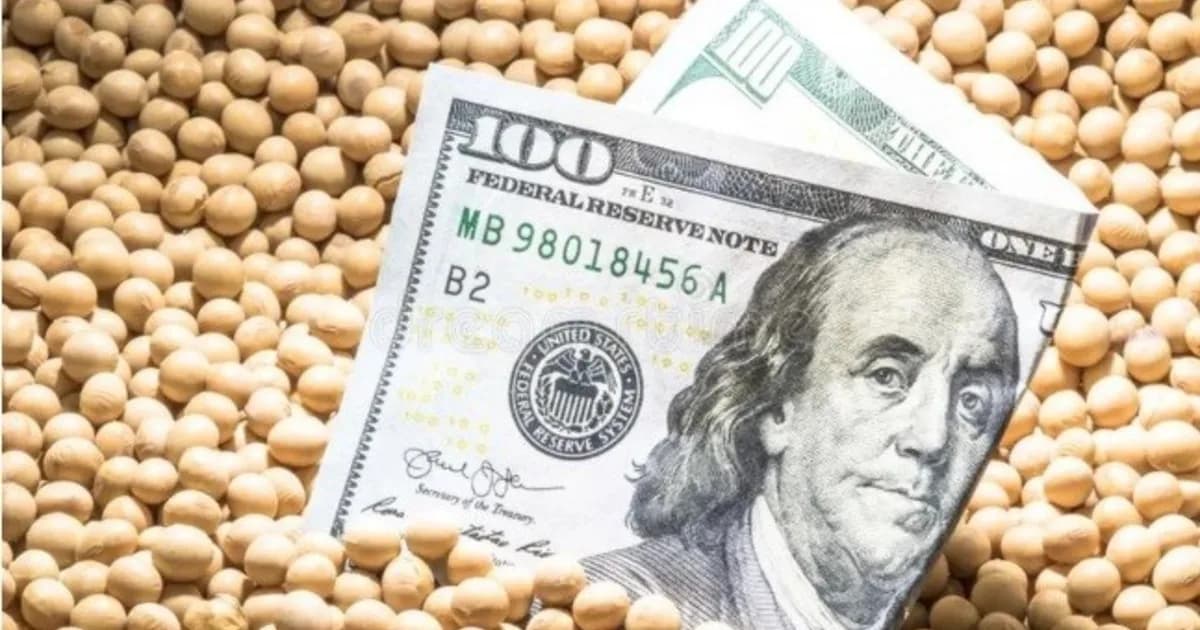 Por un fuerte crecimiento en la declaración de exportaciones, la recaudación por retenciones saltó un 35% en julio