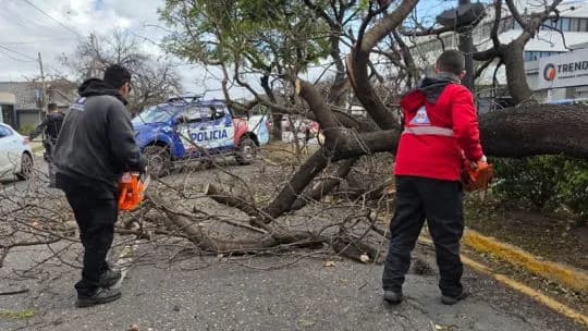 Ráfagas de hasta 95 km/h en Córdoba: Defensa Civil recibió 950 llamados por la tormenta de viento