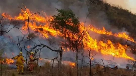 Francia enfrenta incendios históricos en medio del mes de julio más caluroso desde 1900