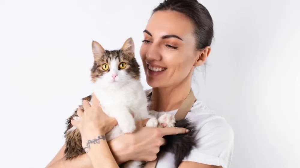 Diez beneficios de convivir con gatos avalados por la ciencia