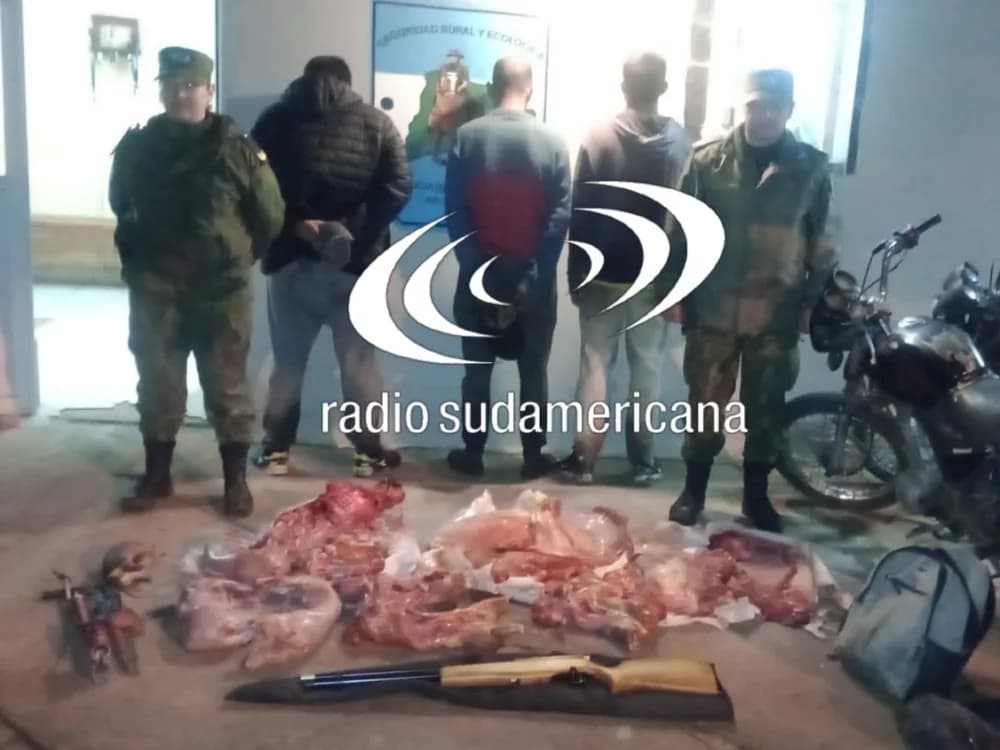 Caza ilegal: llevaban un chancho salvaje, seis vizcachas y un tatú mulita