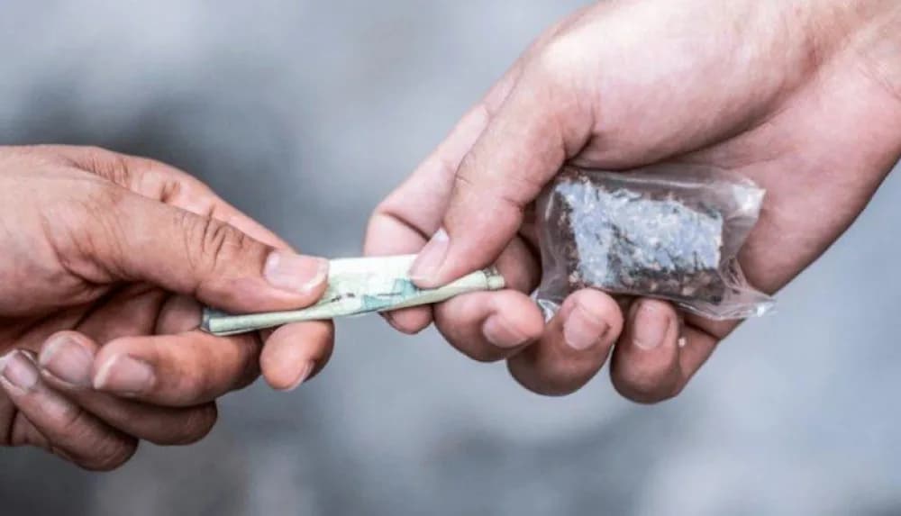 Narcomenudeo: identificarán adulterantes agregados al cannabis