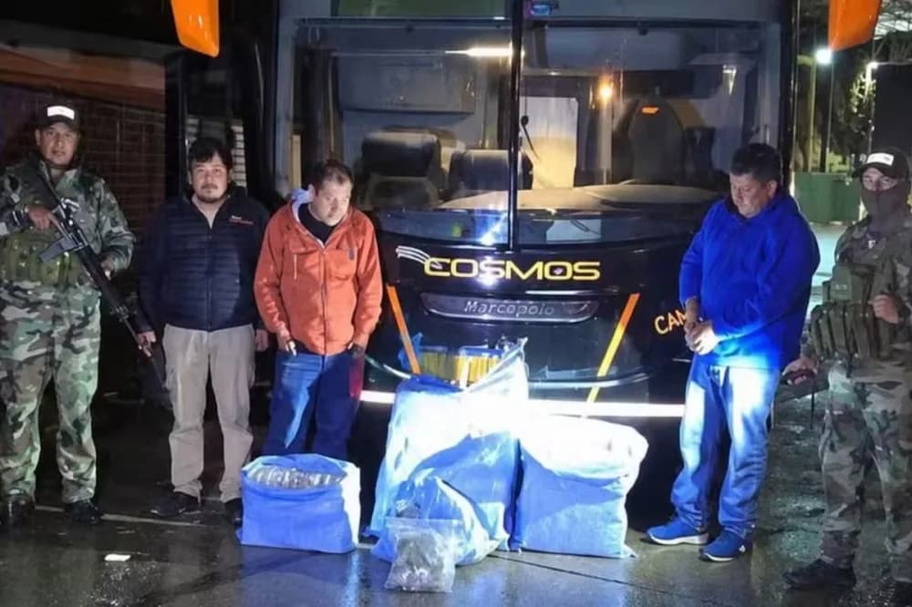 Incautaron 86 kilos de marihuana en un micro que iba a trasladar al plantel de San Pablo