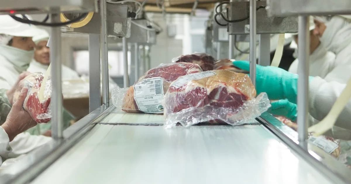 La faena cayó 12% interanual en julio, aunque mostró una pequeña mejora respecto al mes anterior