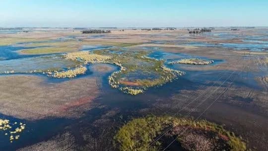 La temperatura récord en el Pacífico alertó a los especialistas por el impacto del "Súper El Niño" en Argentina
