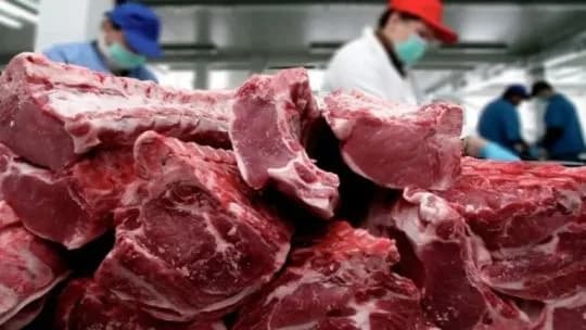 Exportación de carne argentina a Estados Unidos: qué pasó con un cargamento de 13,4 toneladas que fue retirado del mercado