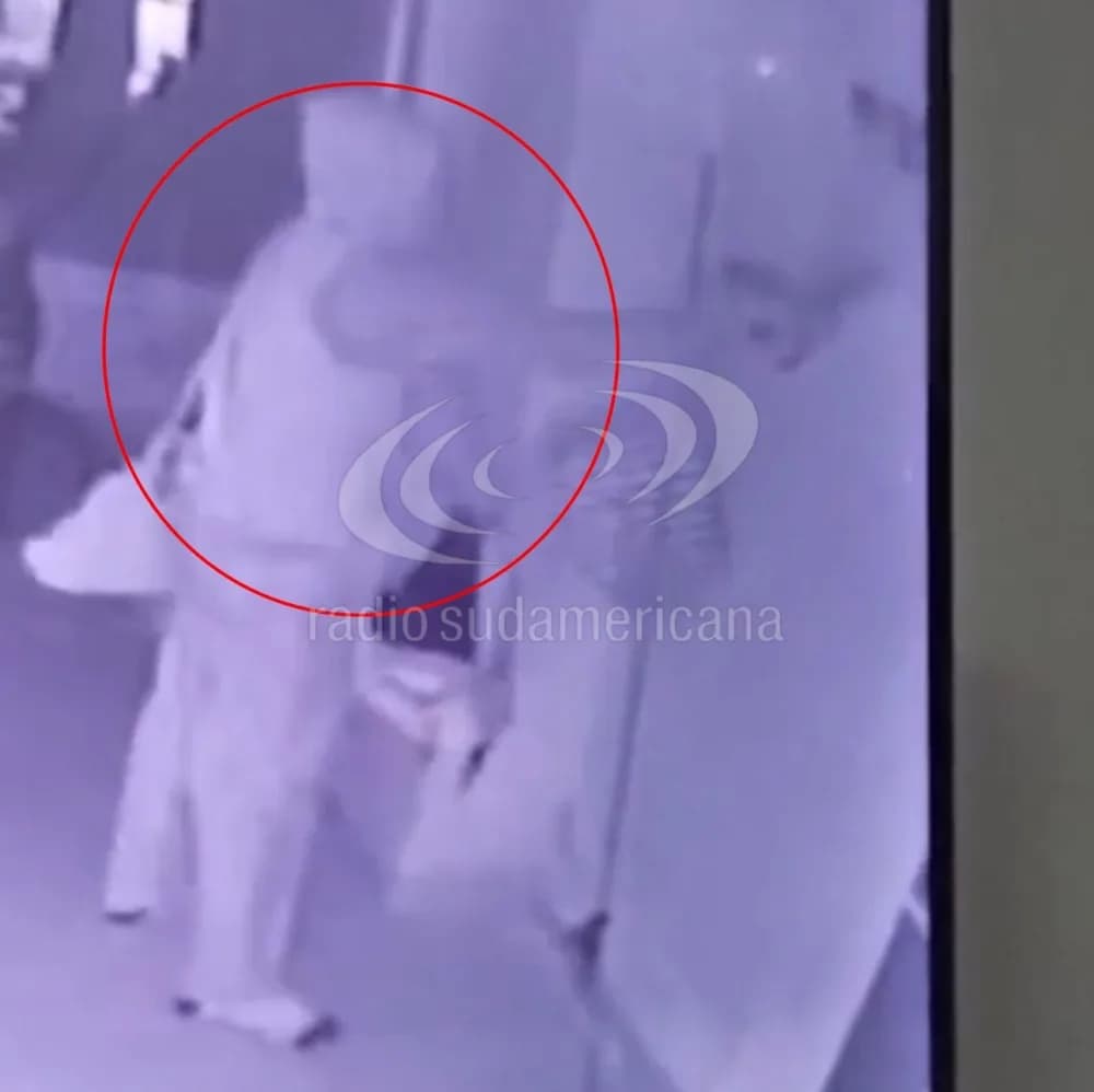 Portada de video: Robó en una casa y quedó filmado: crece la preocupación en el Molina Punta