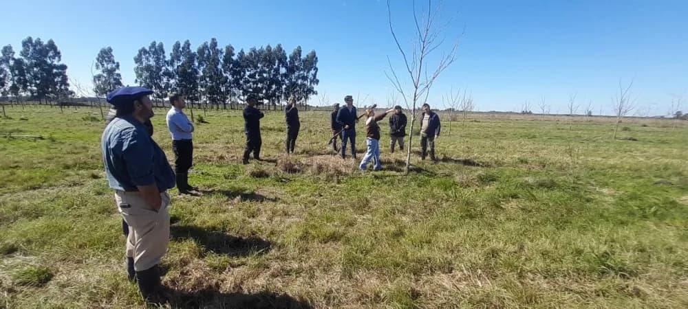La nuez pecán gana terreno en el sur correntino con más de 250 hectáreas implantadas