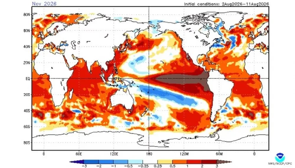 Súper El Niño: elevan al 95% la probabilidad de un evento muy fuerte