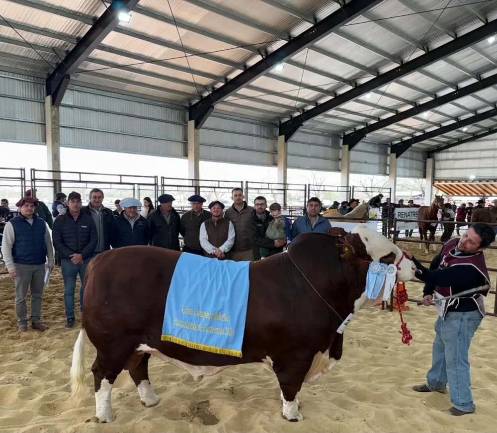 La cabaña Don Cancio se consagró en la Rural con dos campeones