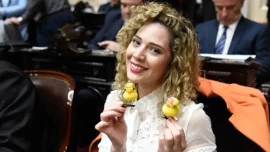 Lourdes Arrieta: "Entré en política por Javier Milei, no por la hermana, y estoy decepcionada"