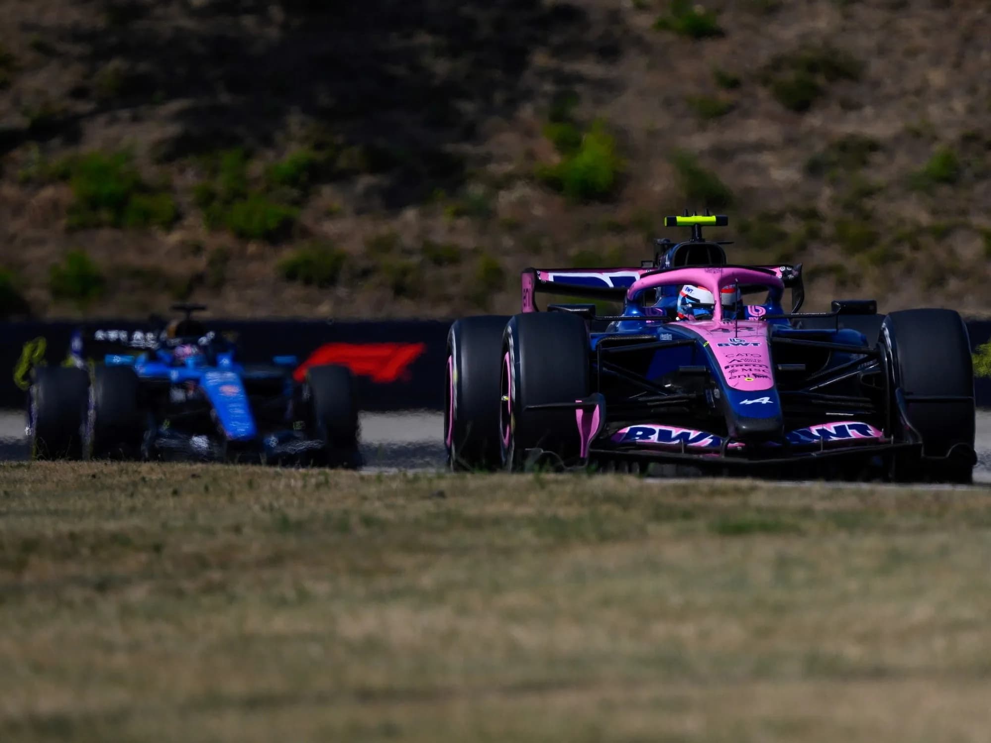 Alpine y Colapinto vuelven con todo en la Fórmula 1: habrá mejoras en el auto para el GP de Países Bajos