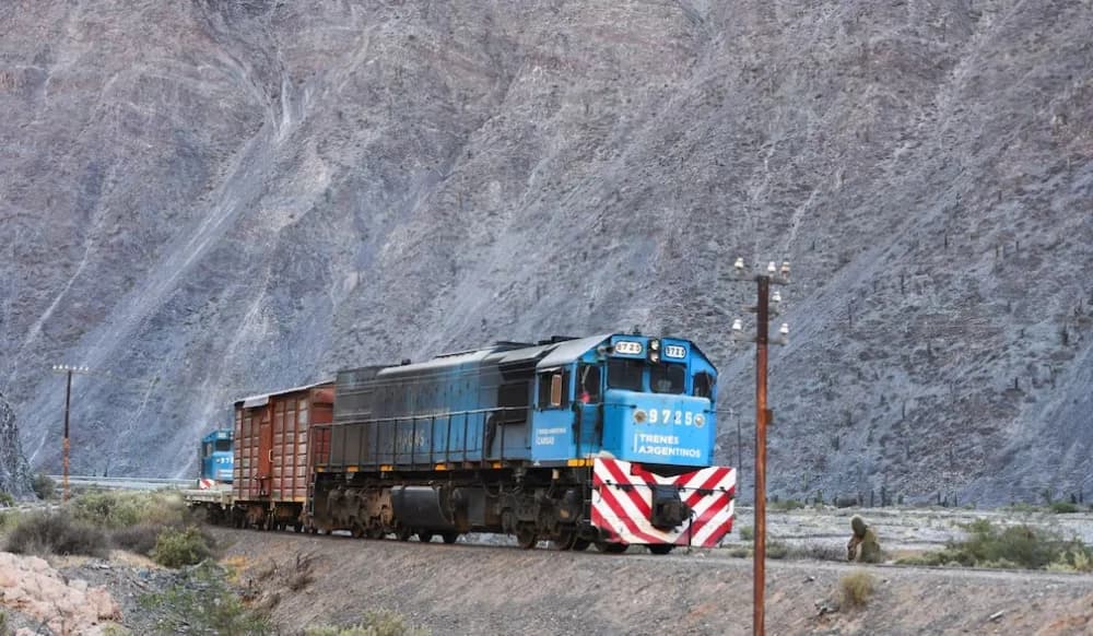 Lanzarán el llamado a licitación para privatizar el Belgrano Cargas por 50 años