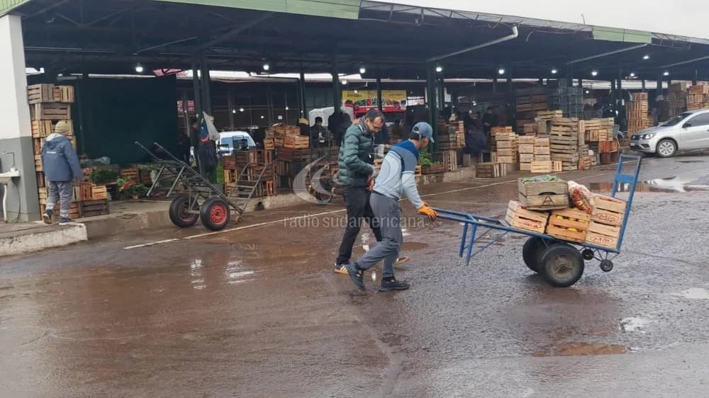 Banana y papa carísimas: El problema principal es el clima