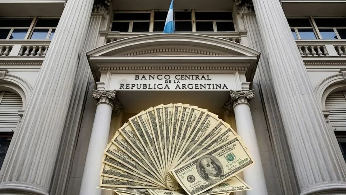 Créditos en dólares: el BCRA deja las puertas abiertas para extender los préstamos a personas aunque con advertencias