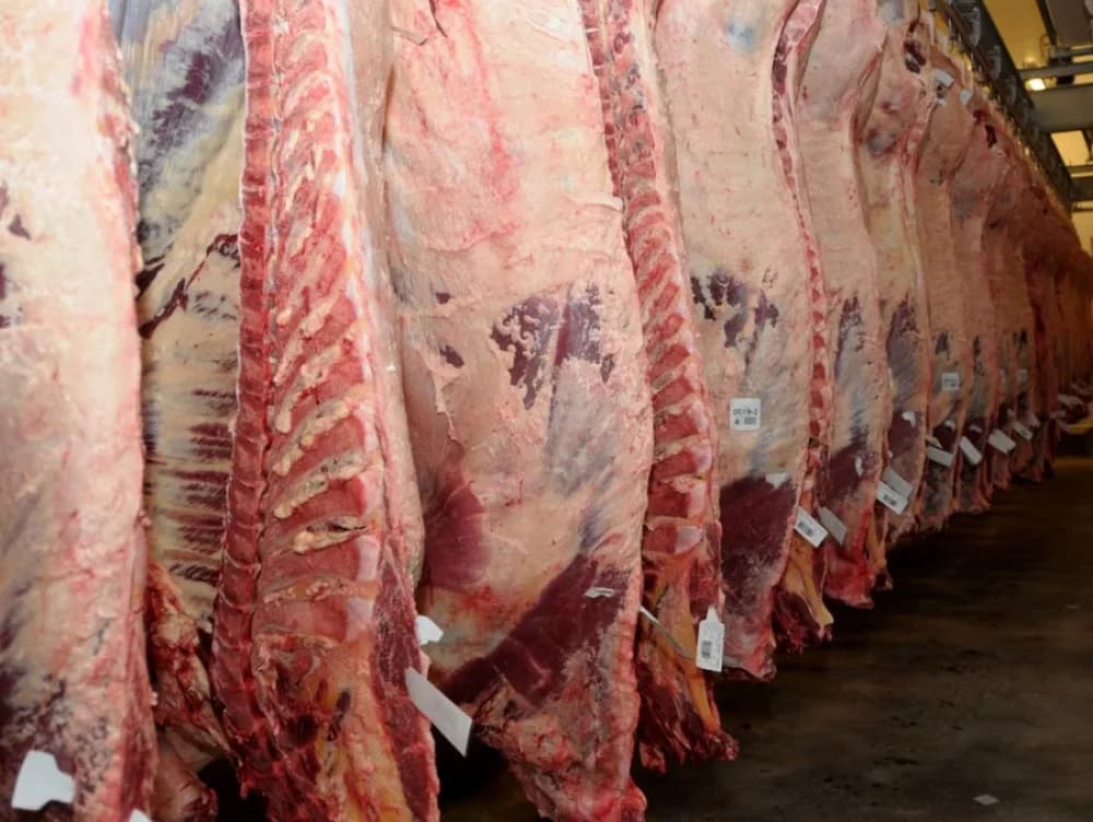 Argentina está dentro de los cinco países con mayor consumo de proteína animal