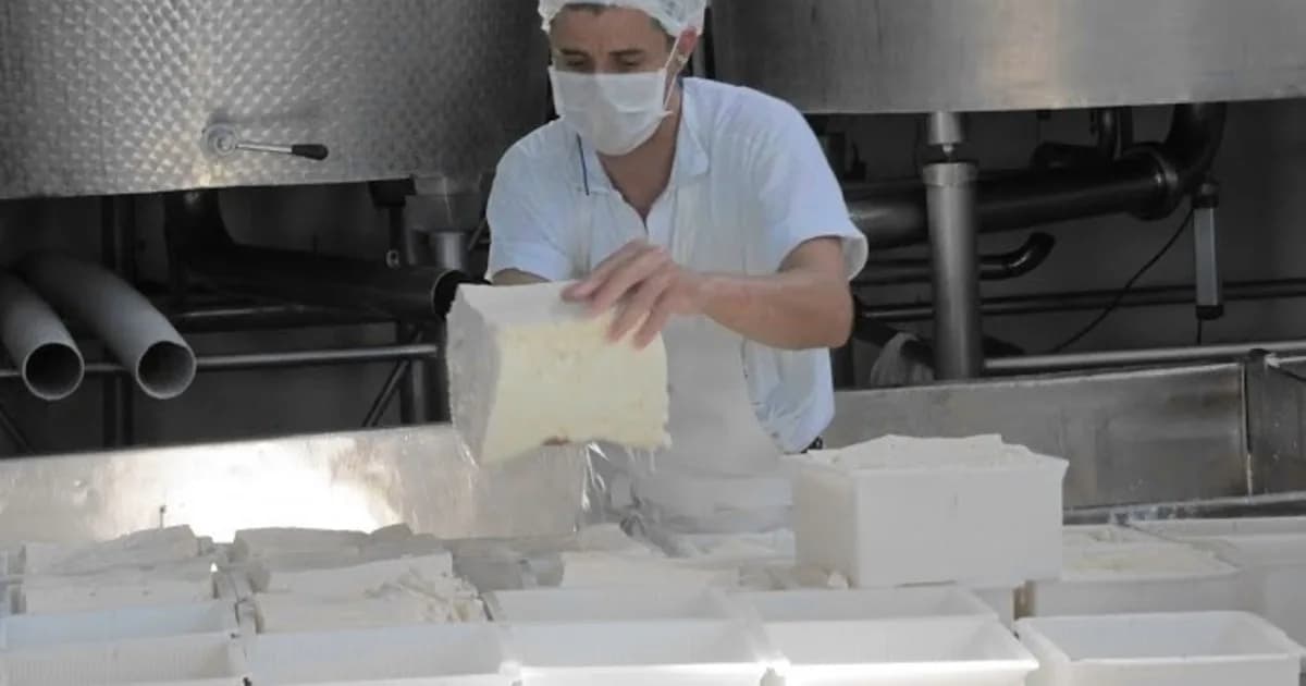 Ranking de la industria láctea: 5 empresas concentran el 36% de la producción, las cooperativas apenas el 3% y hay firmas que ya no participan del mercado