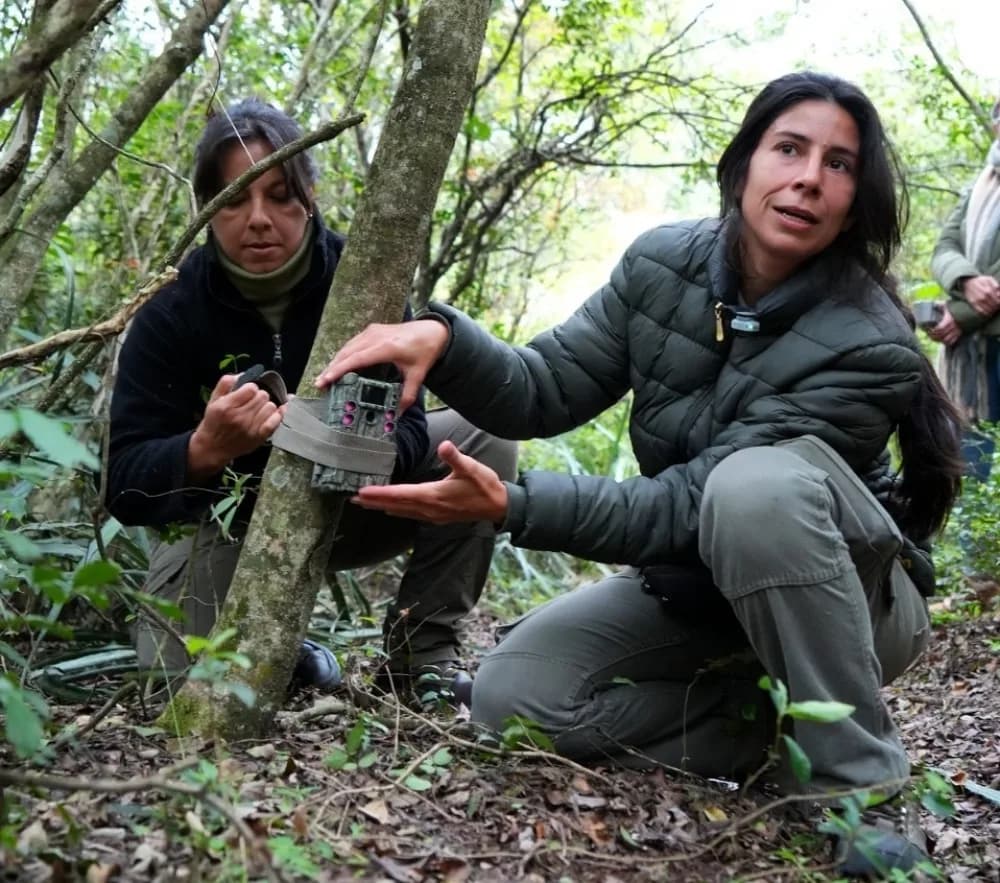 Suman cámaras para monitorear la faunaen la Reserva Santa Catalina