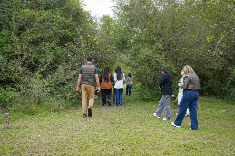 El Municipio destacó la importancia del arbolado y el ambiente