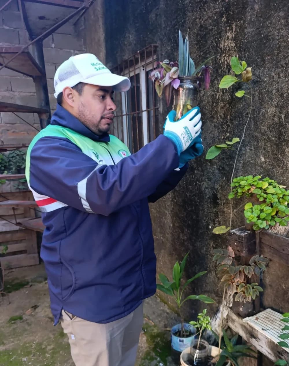 Salud Pública realiza control vectorial y capacitaciones sobre Dengue
