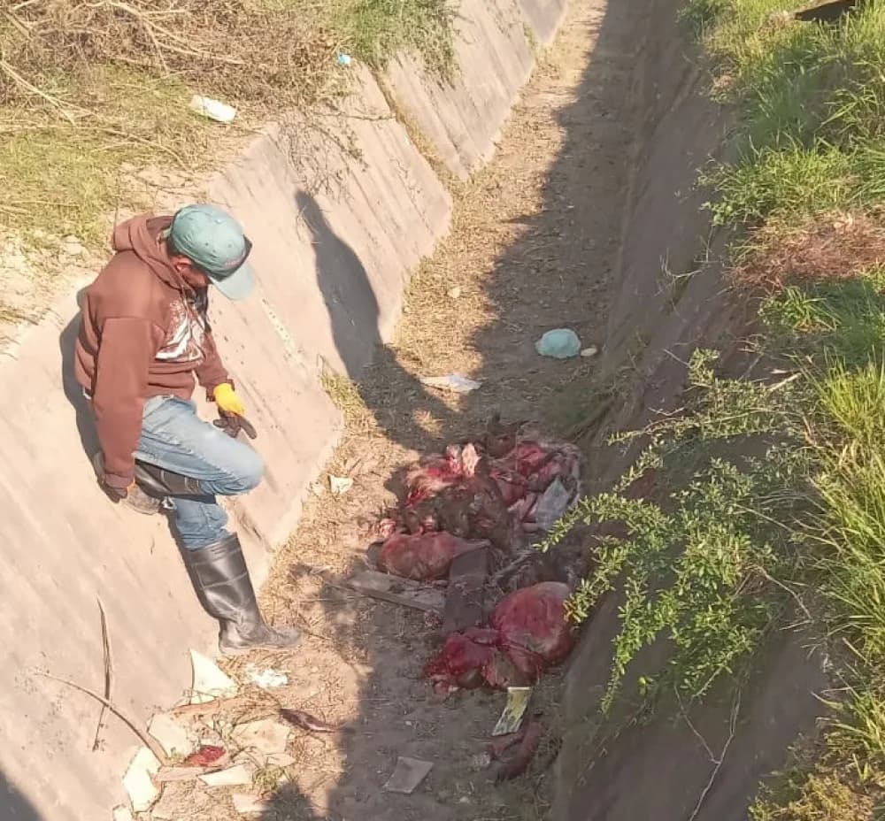 Municipio pide colaboración para evitar el arrojo de basura en canales y desagües